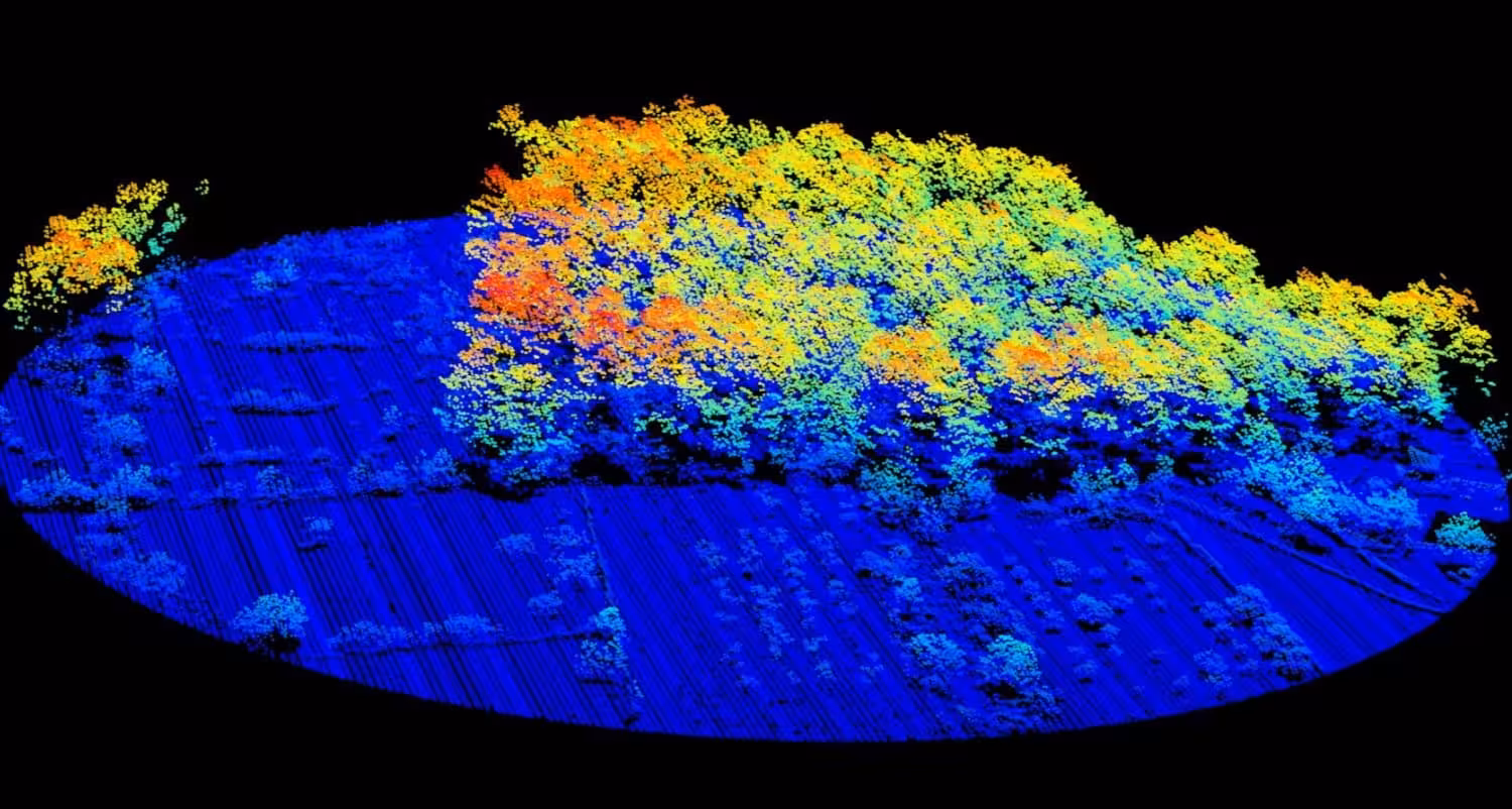 El Govern cartografiará los bosques de Menorca con tecnología lidar