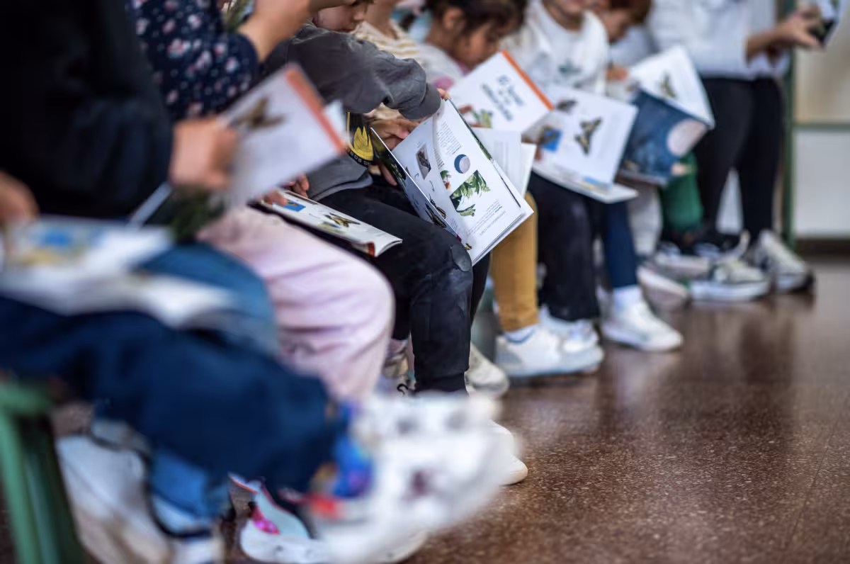 Abierta la convocatoria de ayudas para centros educativos sostenibles de Menorca