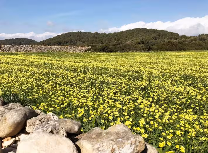 Menorca despide el temporal y abraza la calma anticiclónica