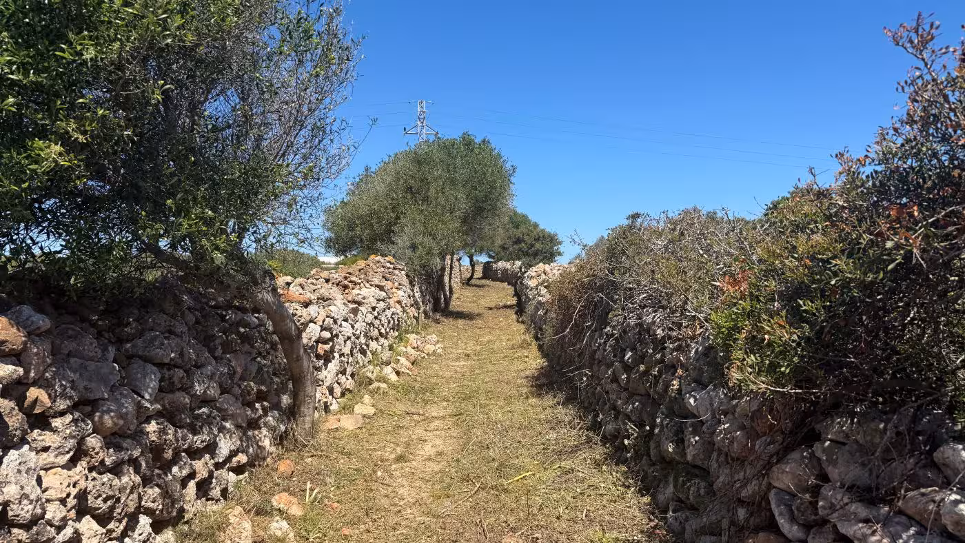 Ciutadella recupera un camino histórico del siglo XVIII: más seguro y accesible para vecinos y ciclistas
