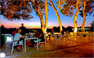 Hotel Binigaus