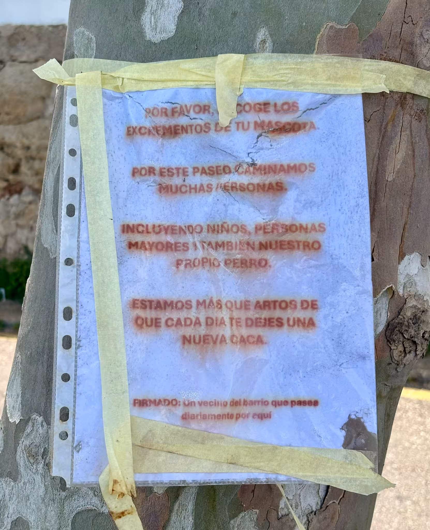 La curiosa protesta de un vecino en Maó contra las cacas de perro: "Estamos más que hartos"