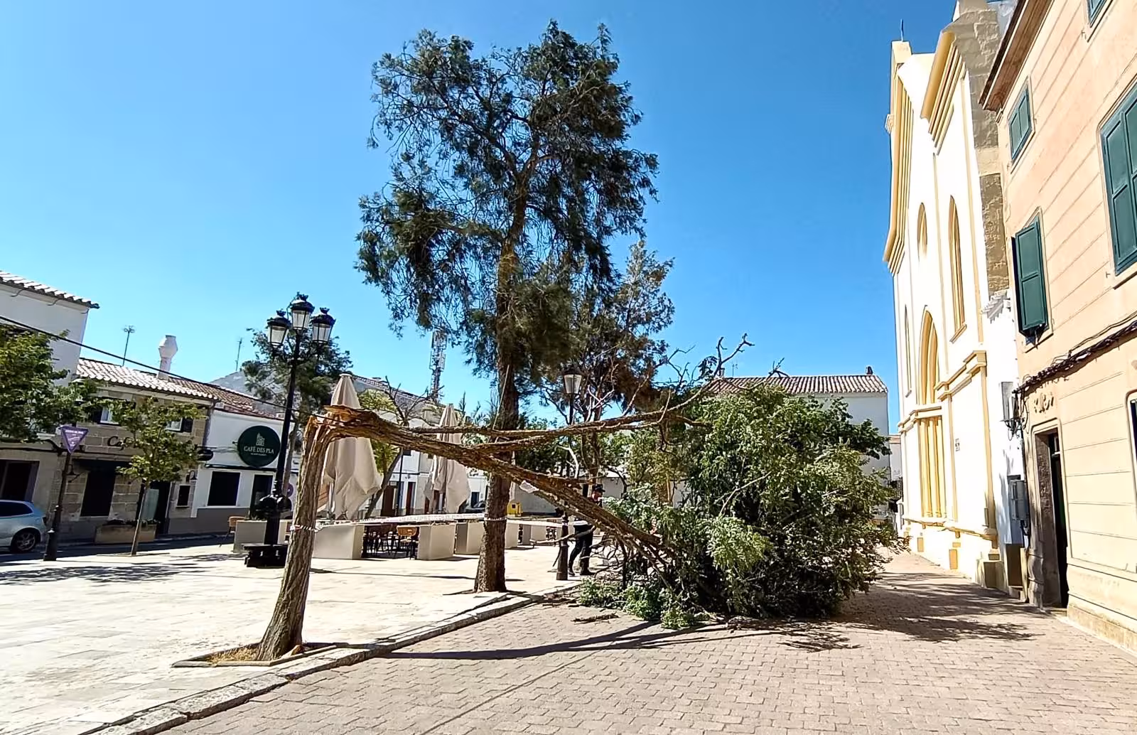 (Fotos) El fuerte viento derriba un árbol junto a la iglesia de Sant Climent