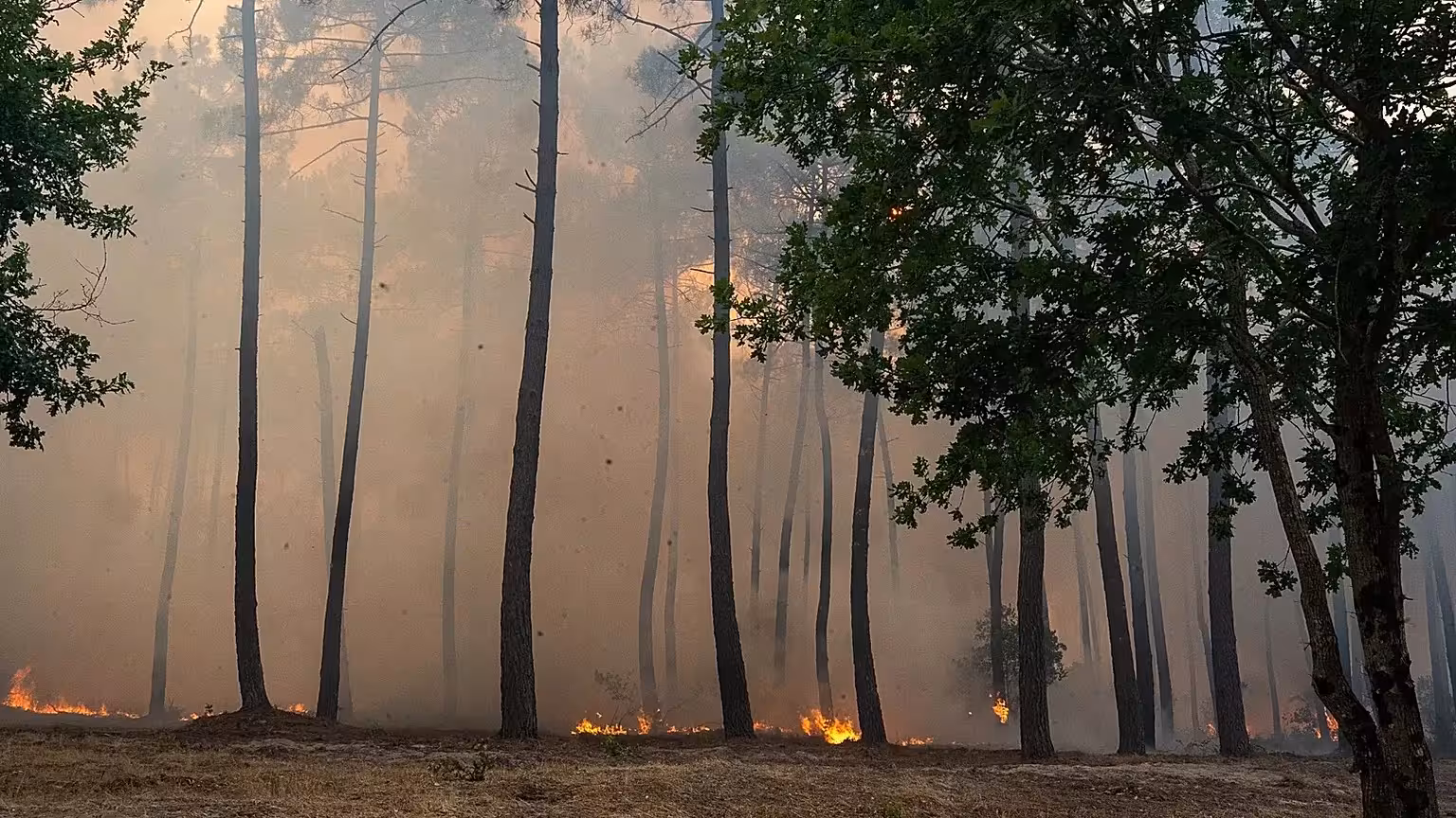 El humo de los incendios del sur de Francia llega a Menorca y provoca numerosas llamadas al 112 por falsas alarmas