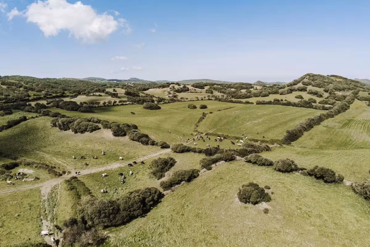 El Consell Insular de Menorca y el GOB renuevan su alianza para impulsar la custodia del territorio agrario