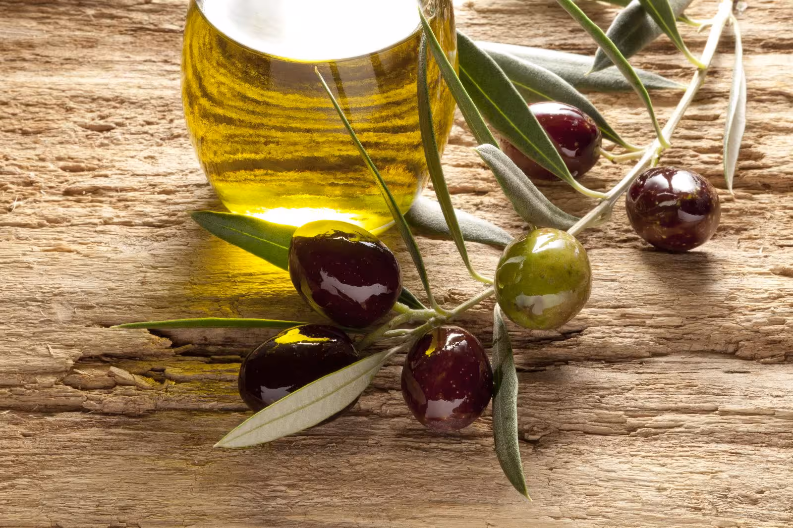 Aceite de Menorca dispara su producción y supera los 267.000 euros de valor comercial