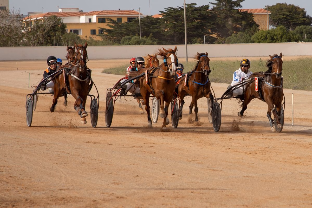 Destinan 14.000 euros a los dos Hipódromos de Menorca para la organización de carreras de trote