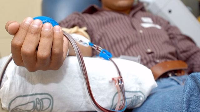 Donar sangre en Menorca en el día de Sant Jordi