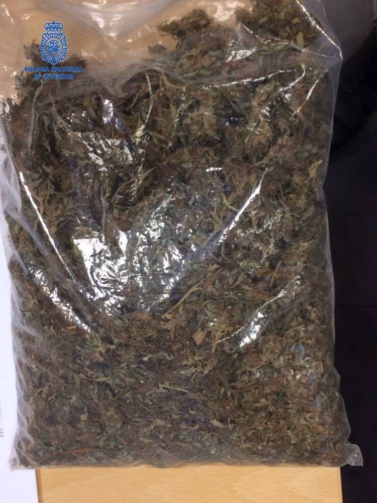 Detenidos dos jóvenes en Ciutadella por tráfico de drogas y delitos contra el patrimonio