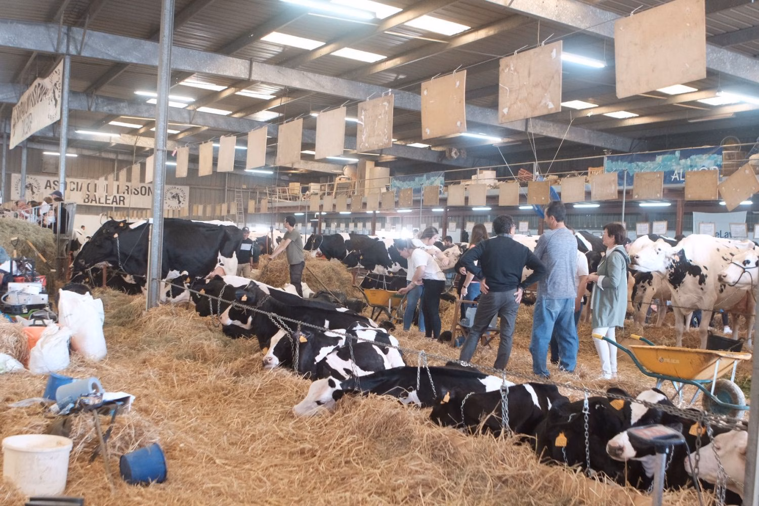 La Fira del Camp 2025 recibirá una aportación extra de 5.000 euros