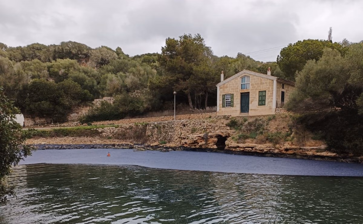 (Fotos) Cala Sant Esteve se tiñe de azul velella