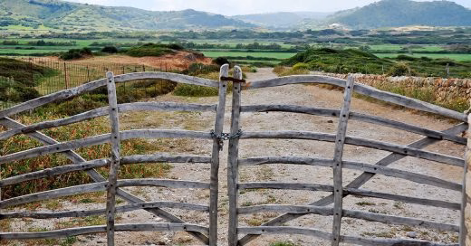 Menos tierras y menos explotaciones: la superficie agraria en Baleares se reduce un 16 %