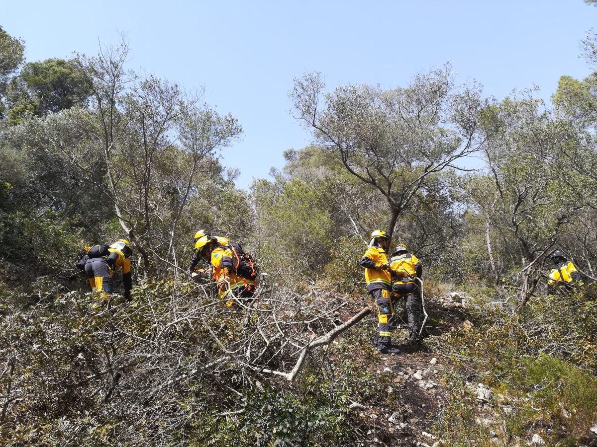 (Ampliación) Estabilizado el incendio forestal en Sant Tomàs
