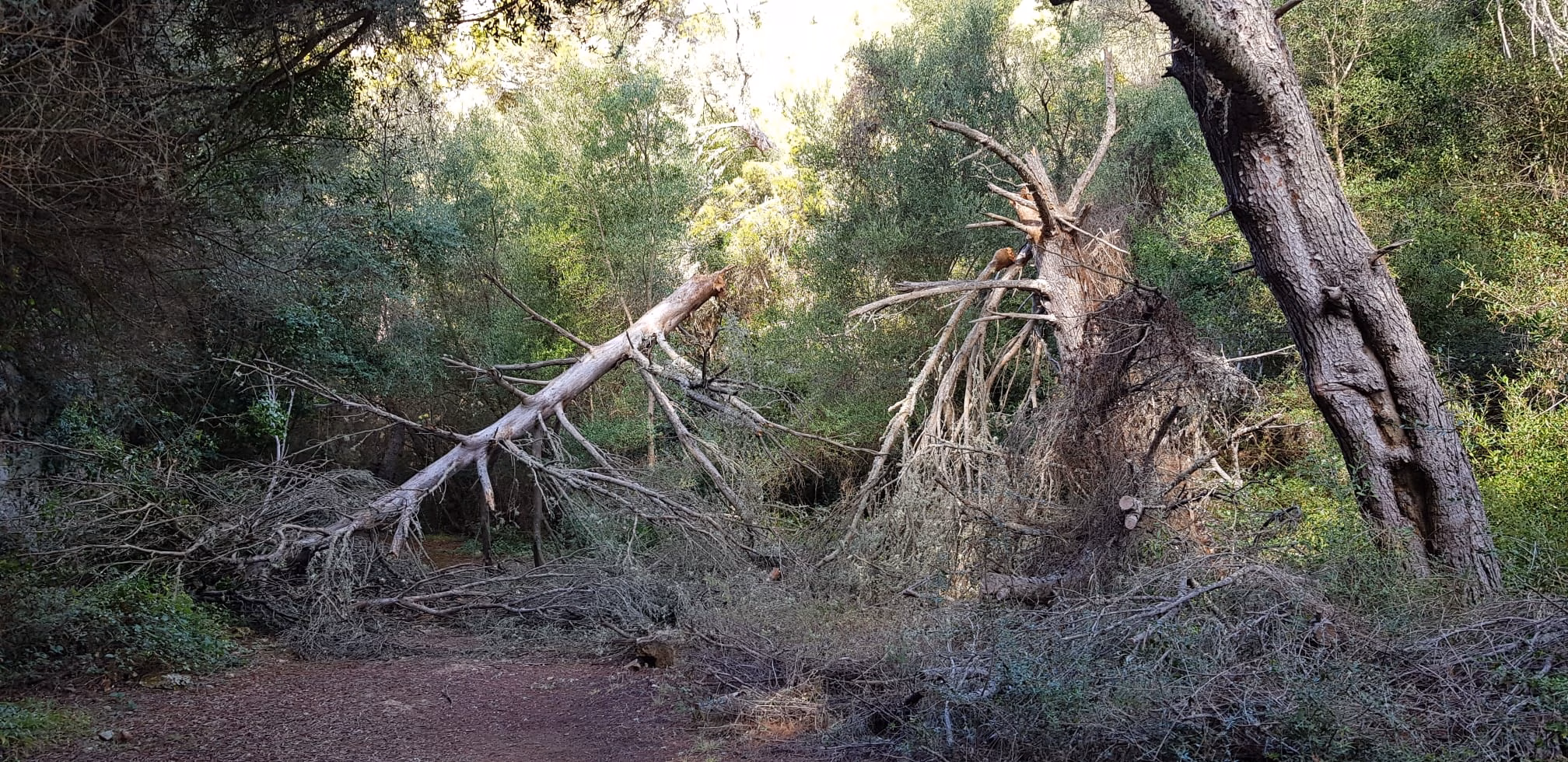 (La foto) El mal tiempo deja huella en el campo
