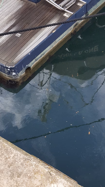 El vent i els guants de plàstic