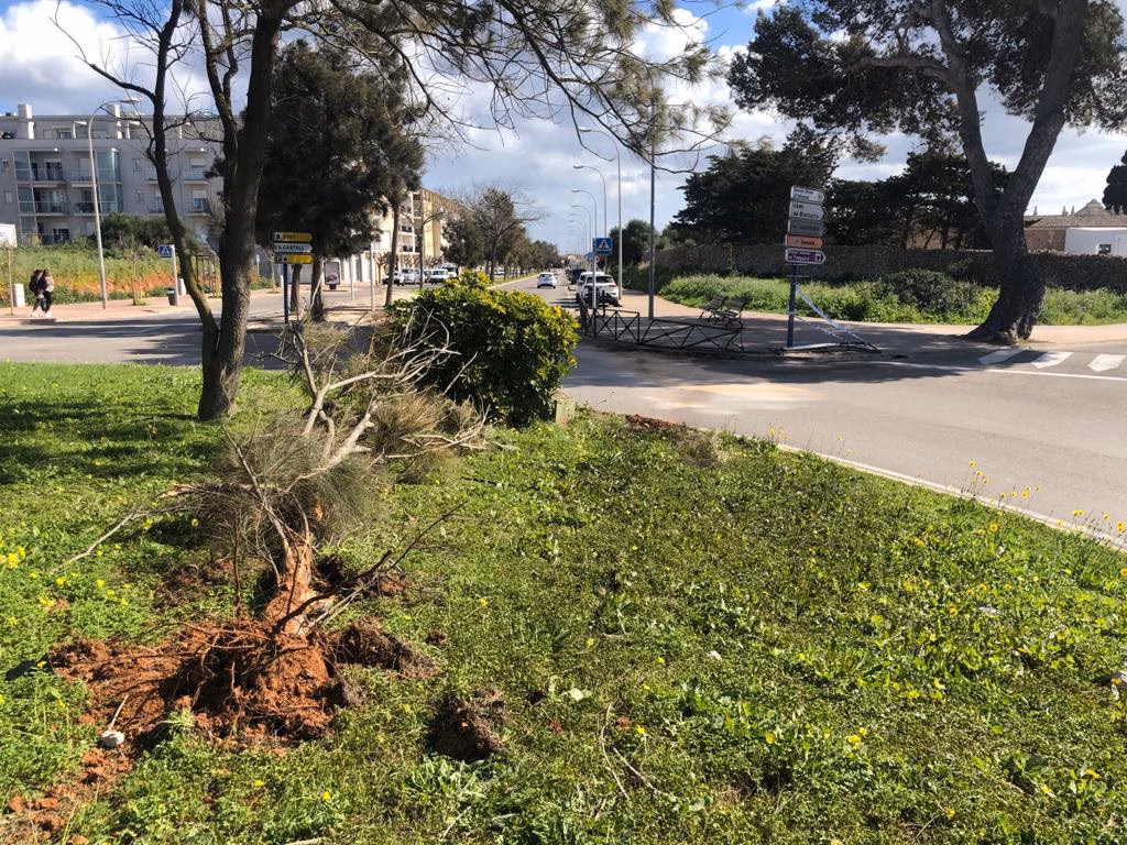 Cruza una rotonda de la Ronda de Maó con su vehículo y da positivo en alcohol