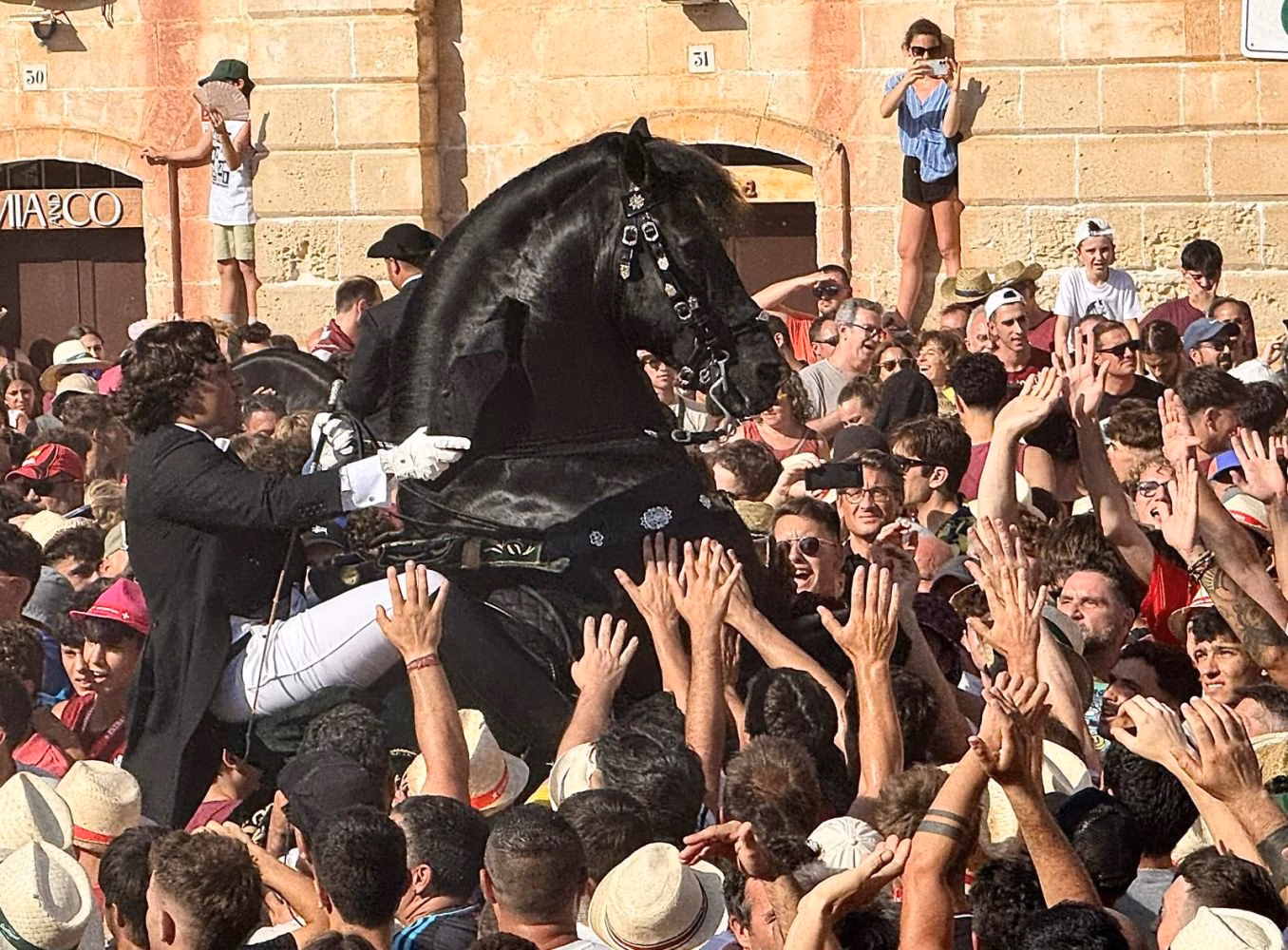 (Fotos y vídeos) Los caballos ya botan en Es Born