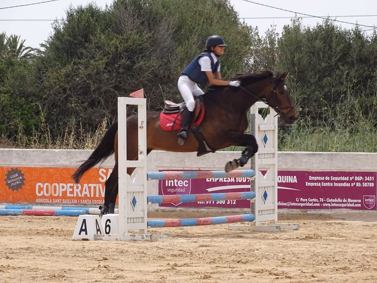 Menorca ya tiene sus campeones de saltos de obstáculos