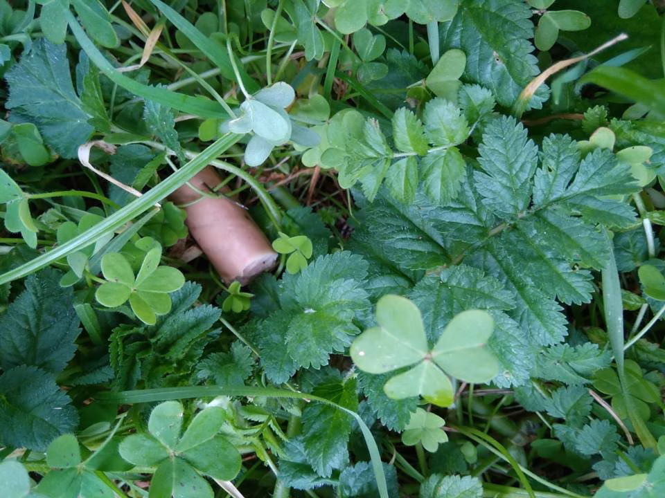 Indignación en Es Mercadal tras el hallazgo de las salchichas con agujas