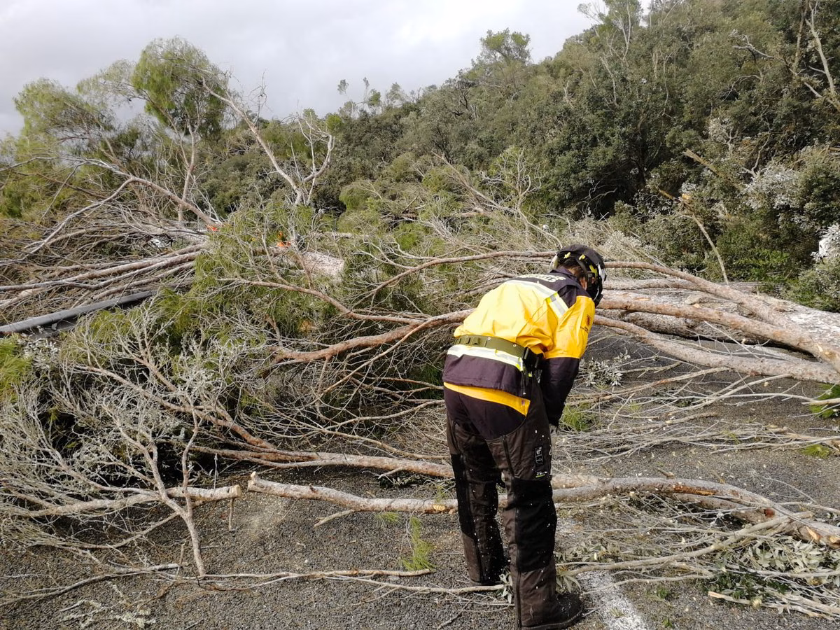 Los datos del temporal: 82 lm2 de lluvia en Fornells y viento de 63 kmh en Maó
