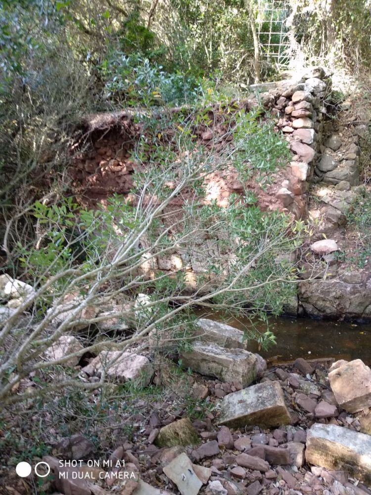 (Vídeo) Se derrumba el puente de Binimoti