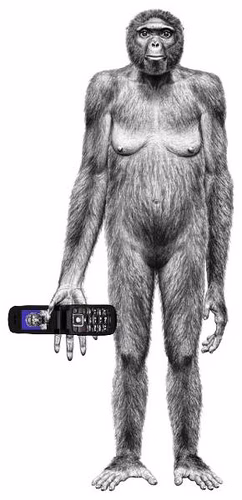 Sobre l'assetjament escolar a Menorca