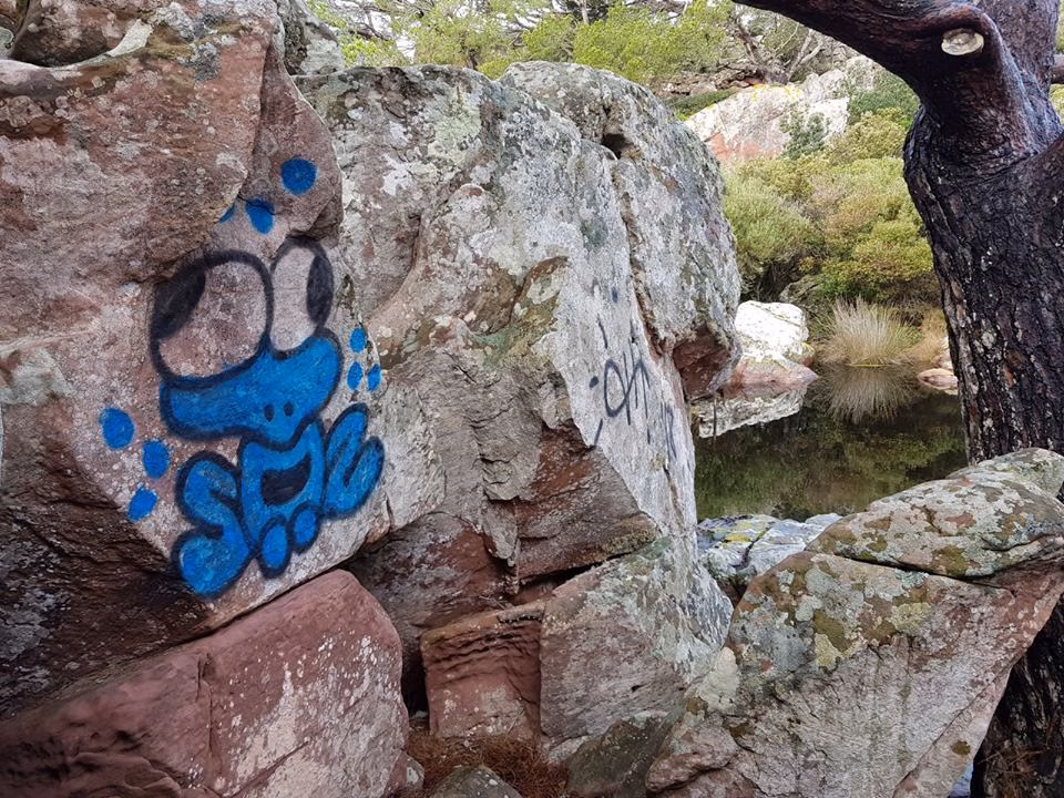 (La foto) Pintadas en las rocas de la Bassa Verda