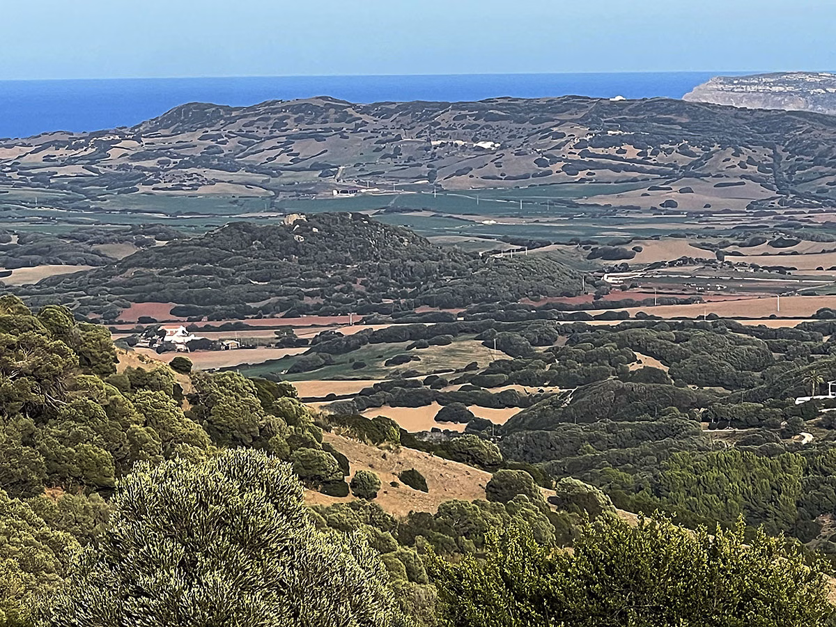 El Consell unifica los criterios de legalización de construcciones en suelo rústico