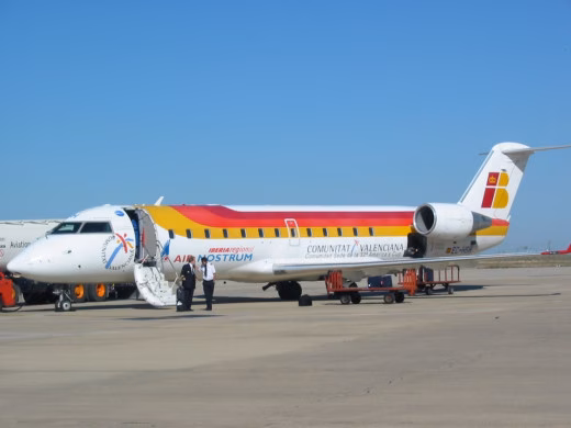 Dos vuelos a Palma cancelados en 24 horas por chocar contra aves