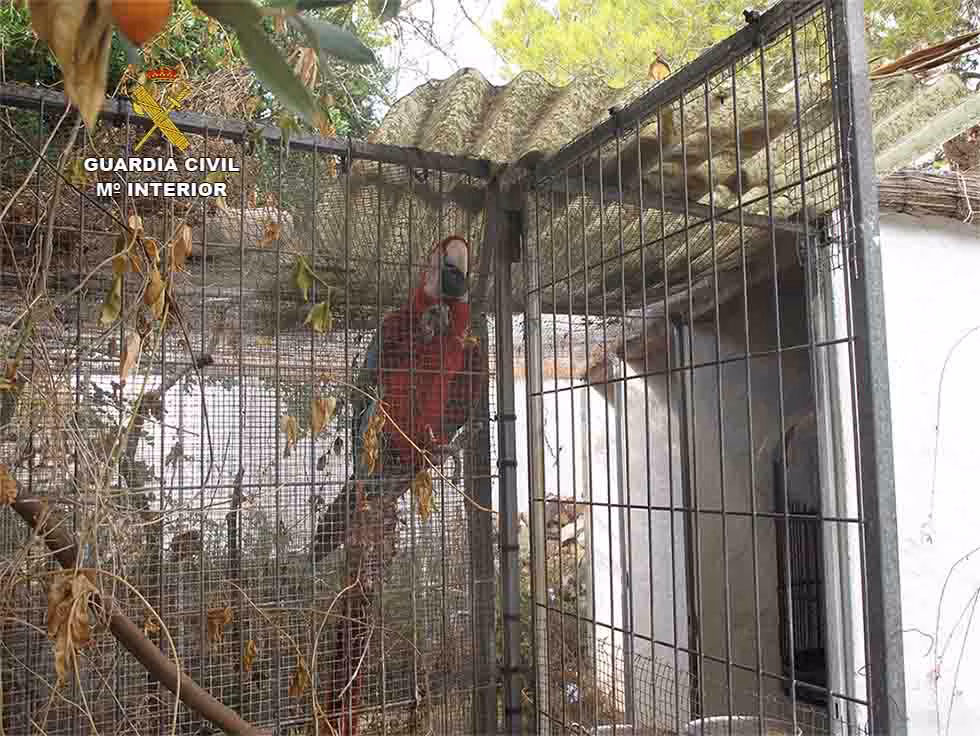 El Seprona decomisa 18 especies protegidas en una finca de Sant LLuís