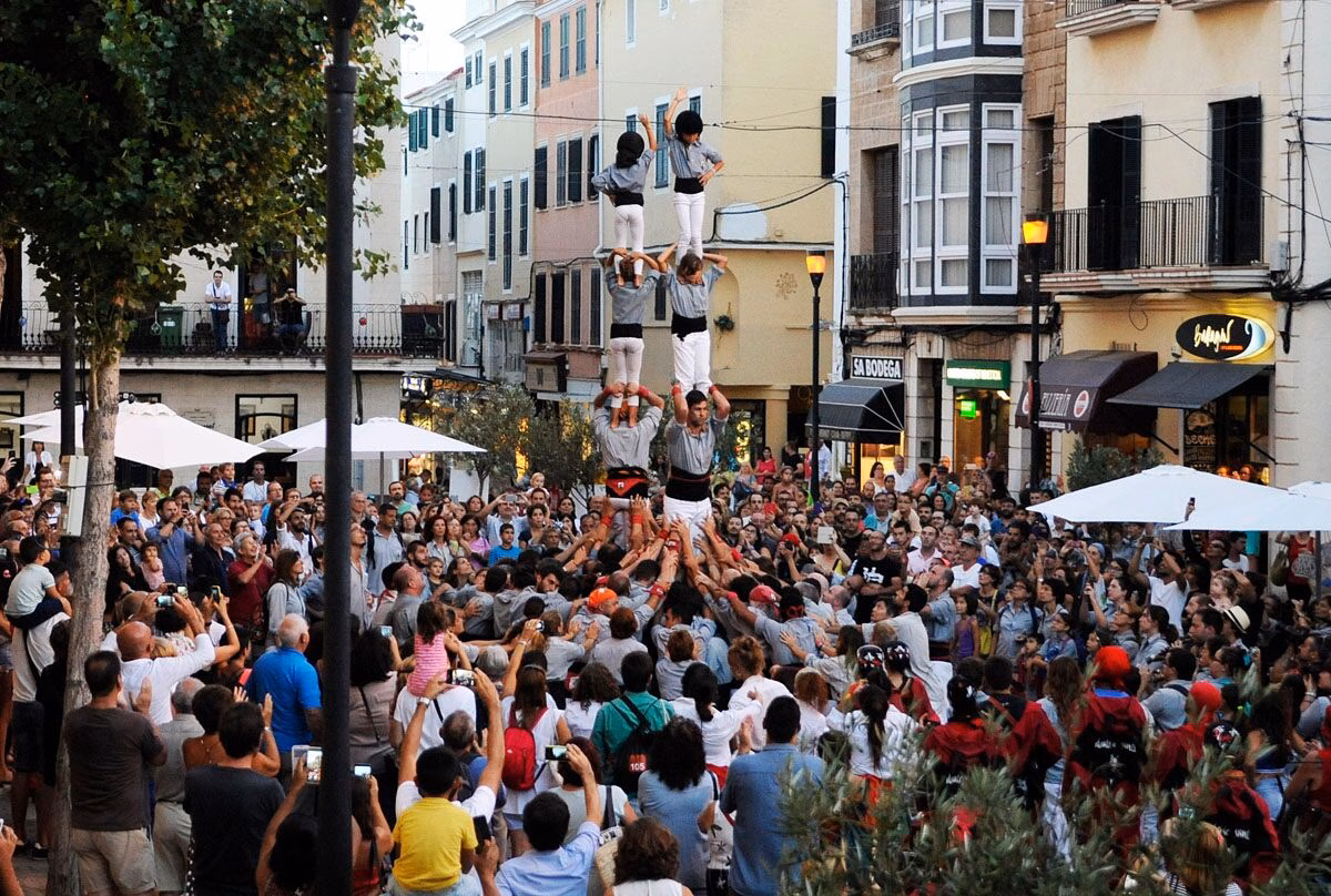 (Fotos) Trabajo de hormiguitas, fuerza de elefante