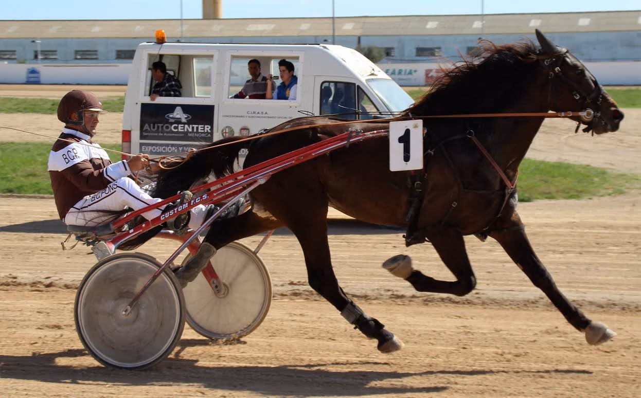 (Fotos) Dream a Dream y Tambor se reivindican en Maó