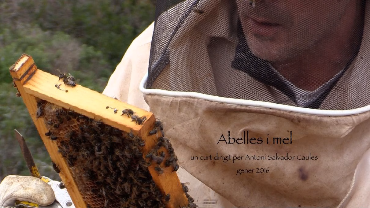 ‘Abelles i mel’ de Antoni Salvador gana el II Videobosco