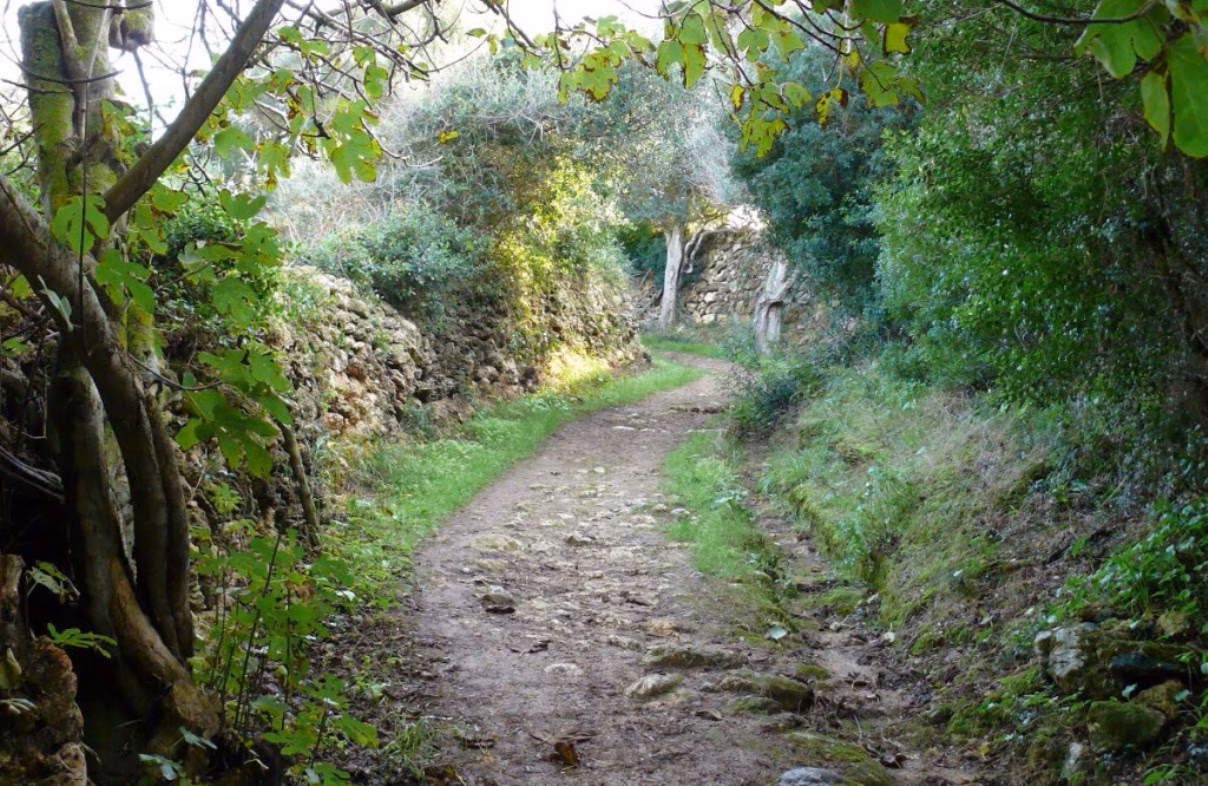 Menorca, sede de las VIII Jornades d’Etnobotànica en Llengua Catalana