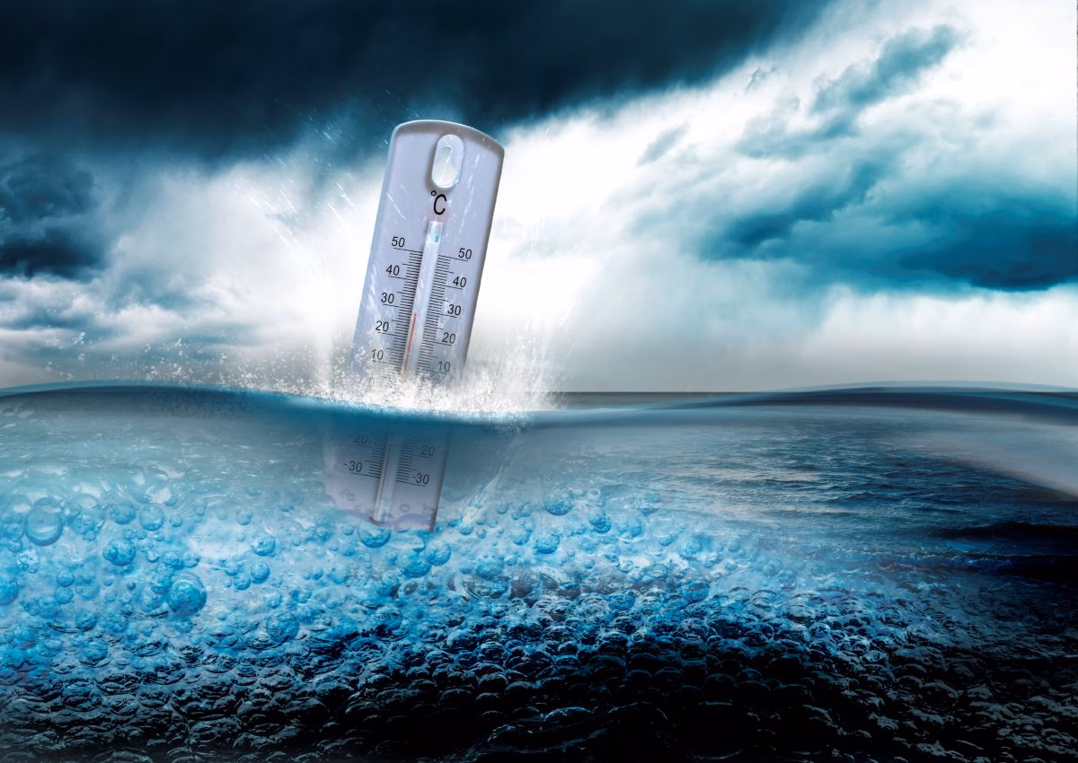 Las consecuencias del calentamiento del agua del mar