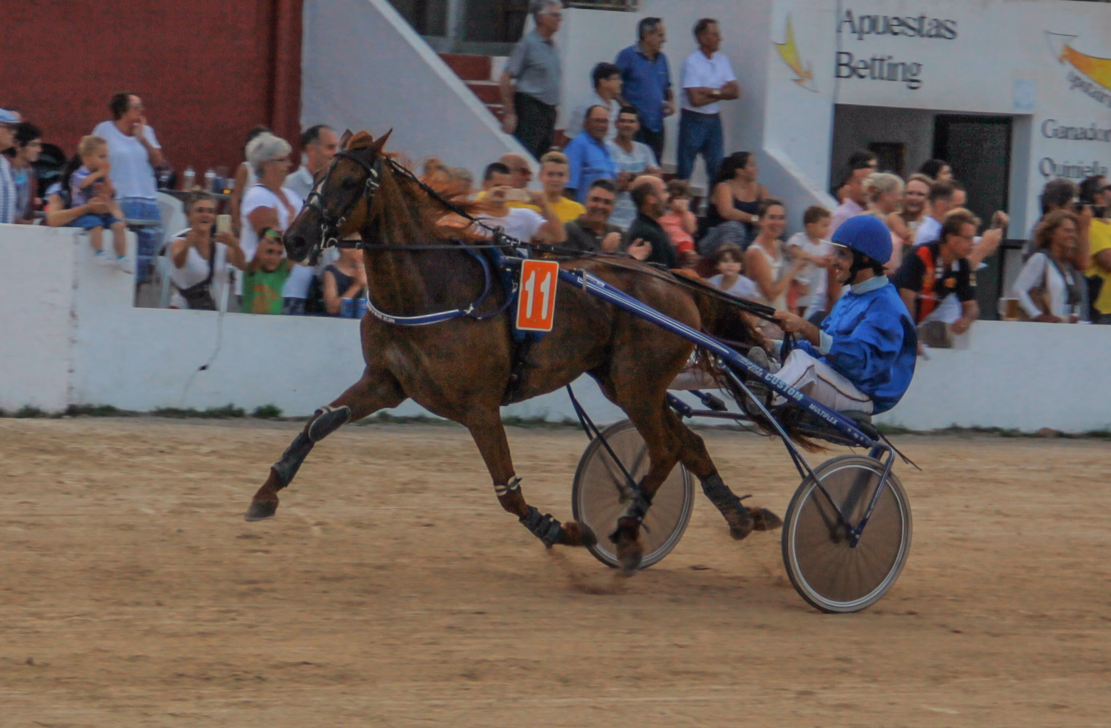 Las apuestas acaparan la atención en el Hipódromo de Maó