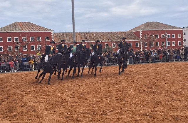Caballos menorquines en la Diada de Es Castell