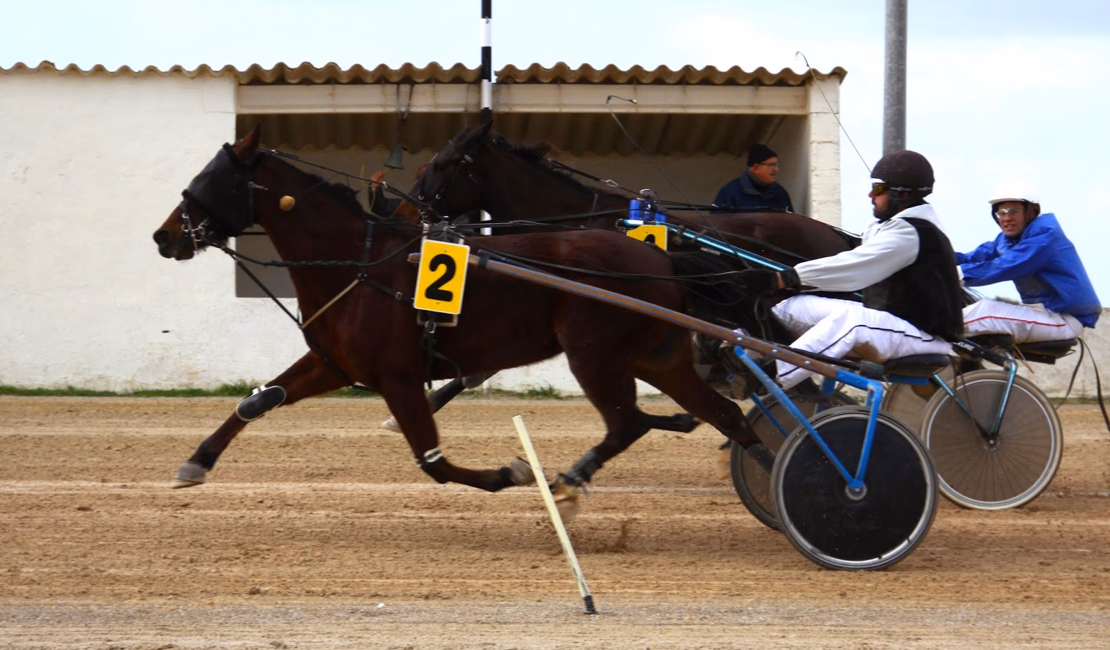 Uyuyuy d’Escafi buscará seguir su racha triunfal en Maó