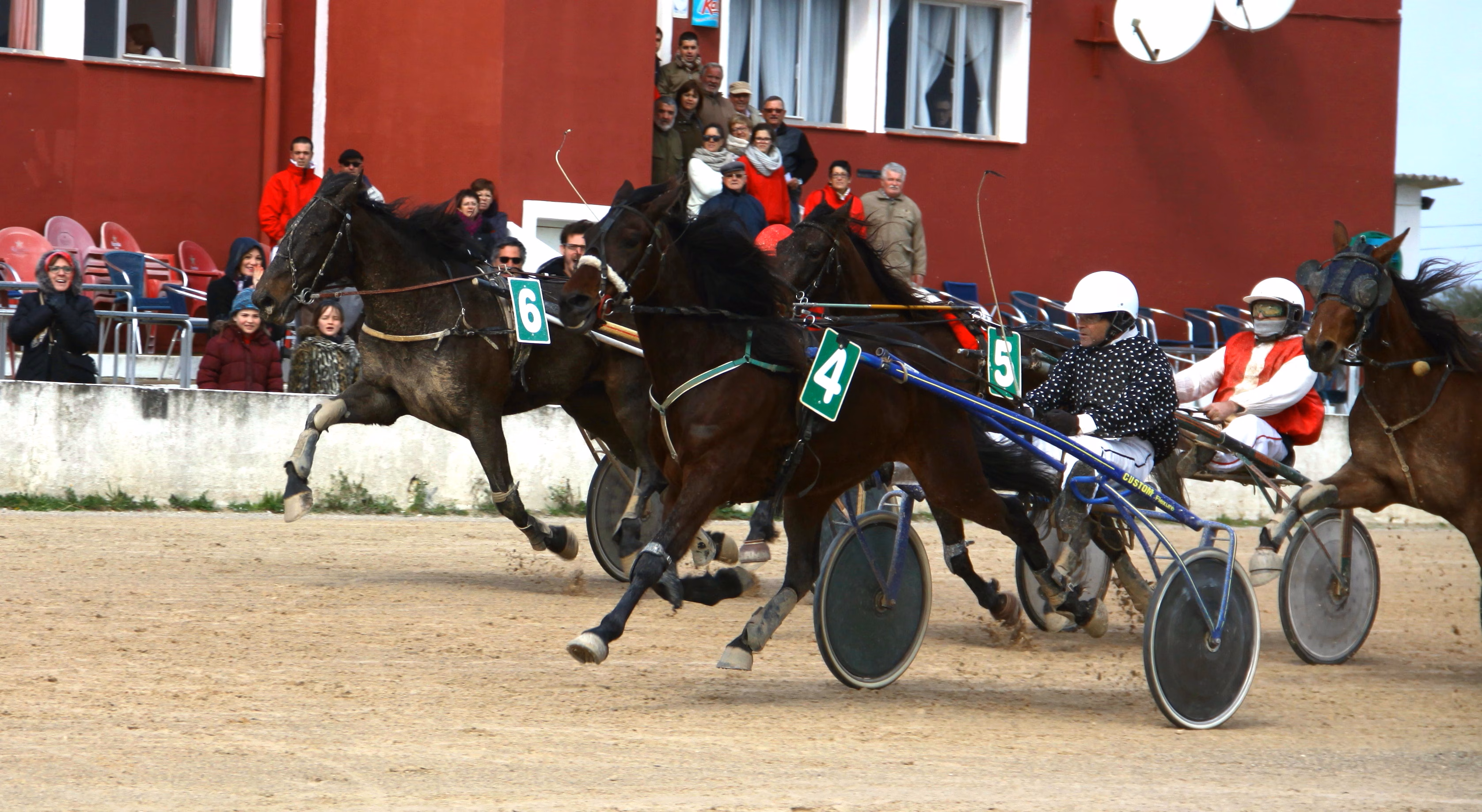 Sacares se estrena en el hipódromo de Maó
