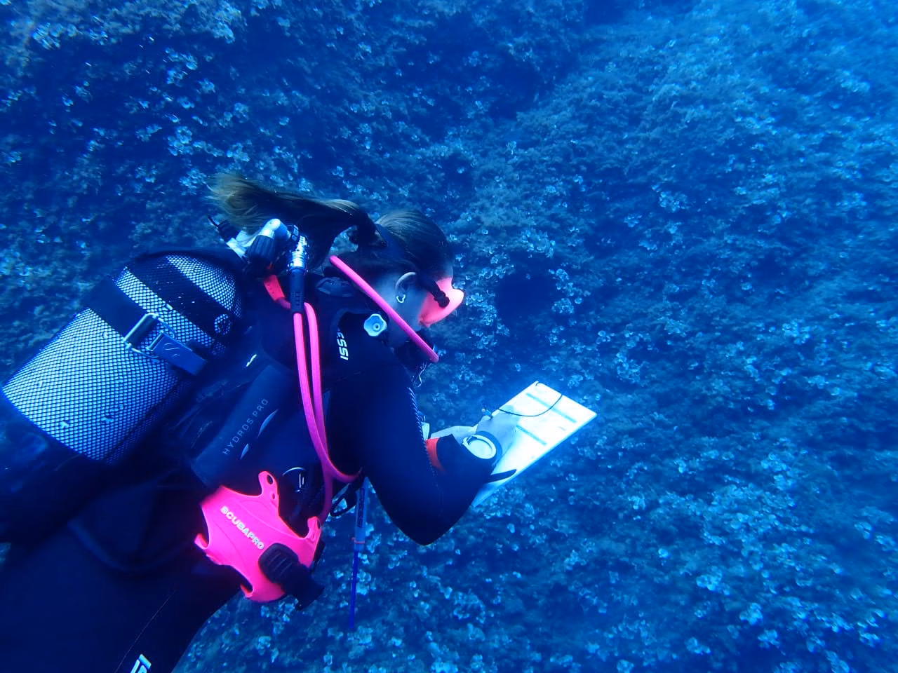(Fotos) El Club Nàutic Ciutadella colabora con el proyecto OdM Climate Tour