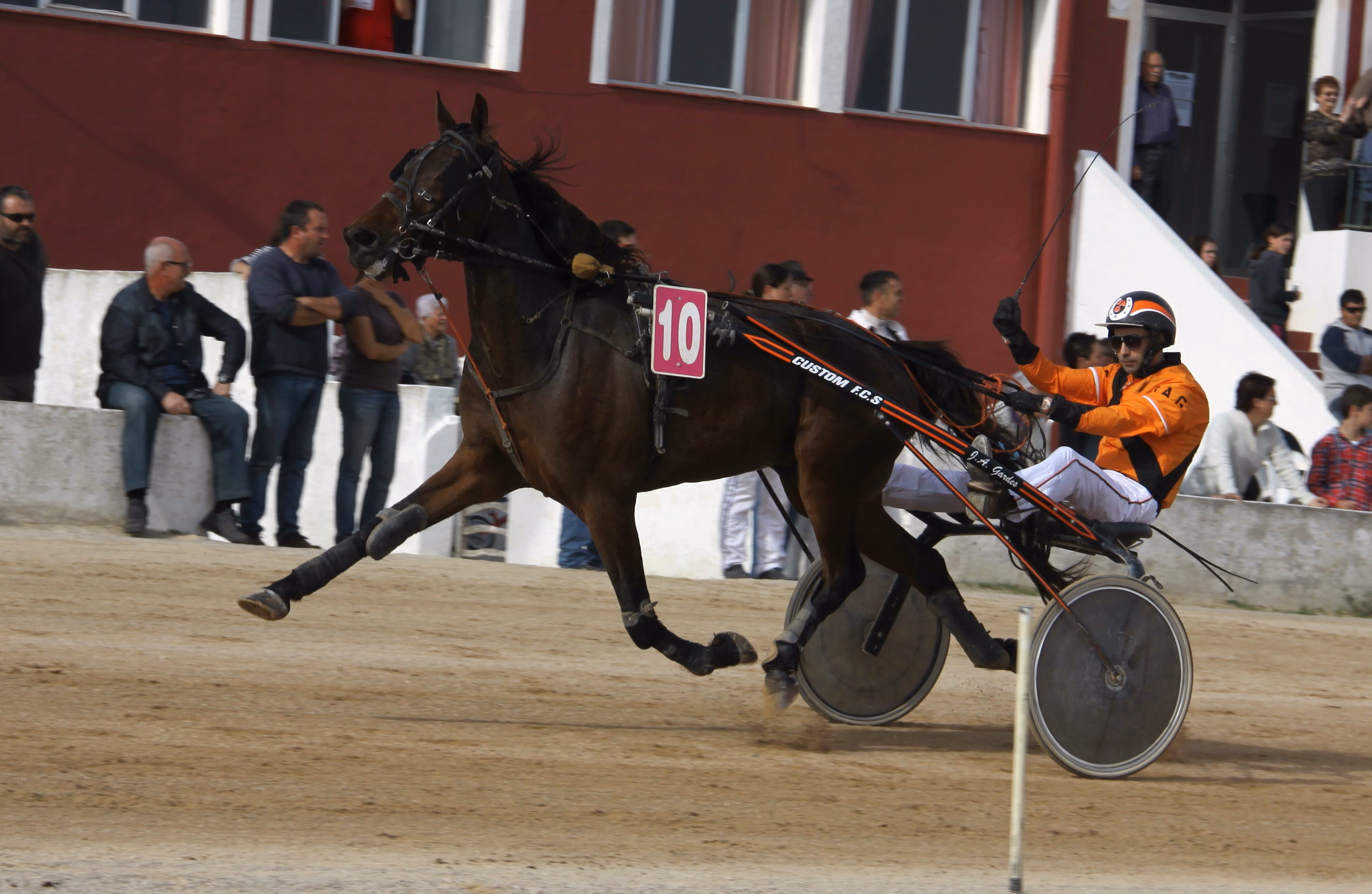 Ali Rodney d'Odin vence en la segunda carrera de Maó
