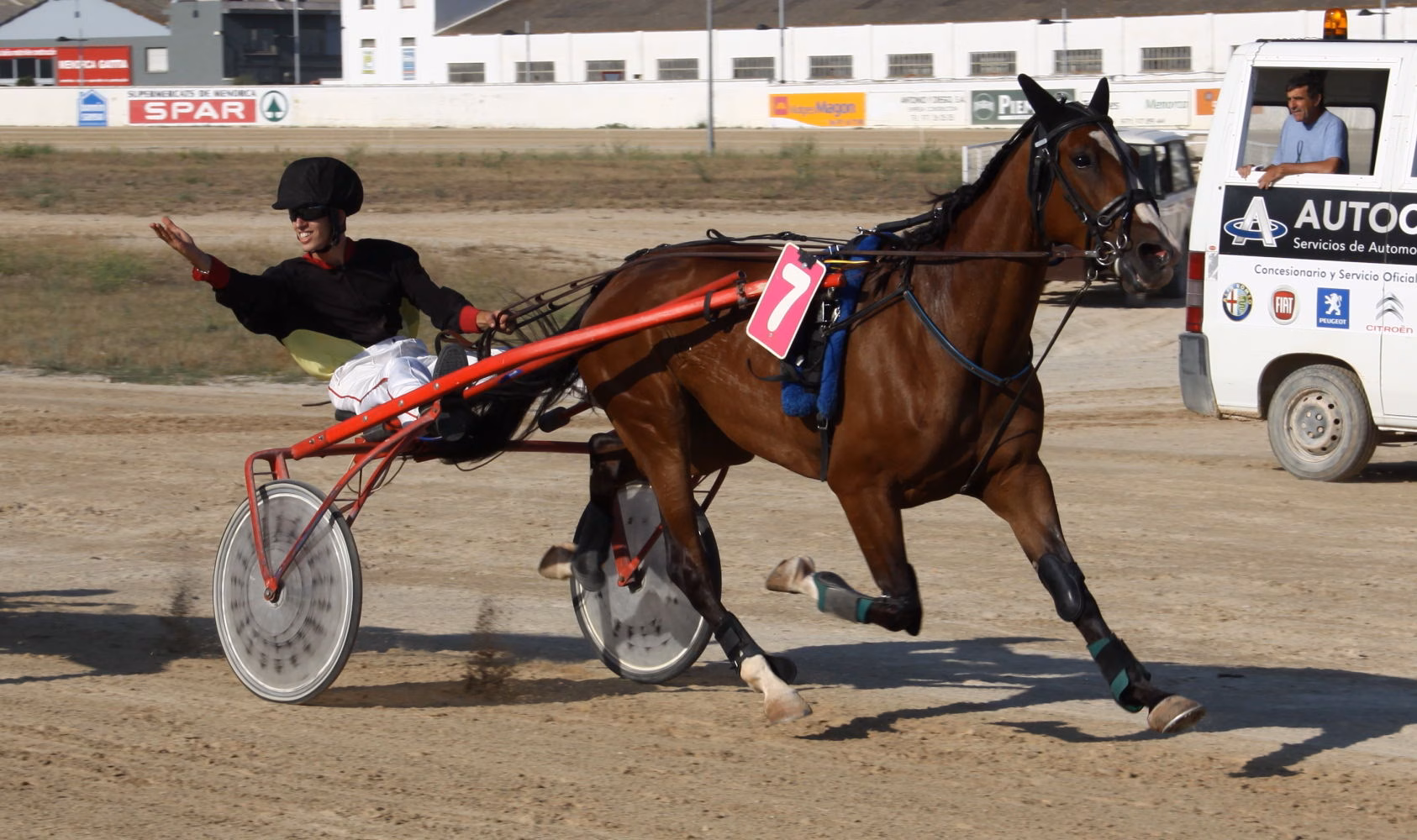 June First quiere repetir victoria en el hipódromo de Maó