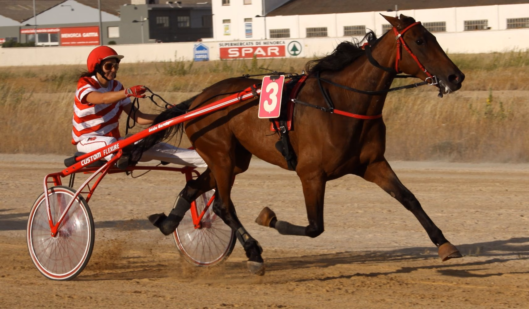 El premio Ciutat de Maó llega al hipódromo mahonés