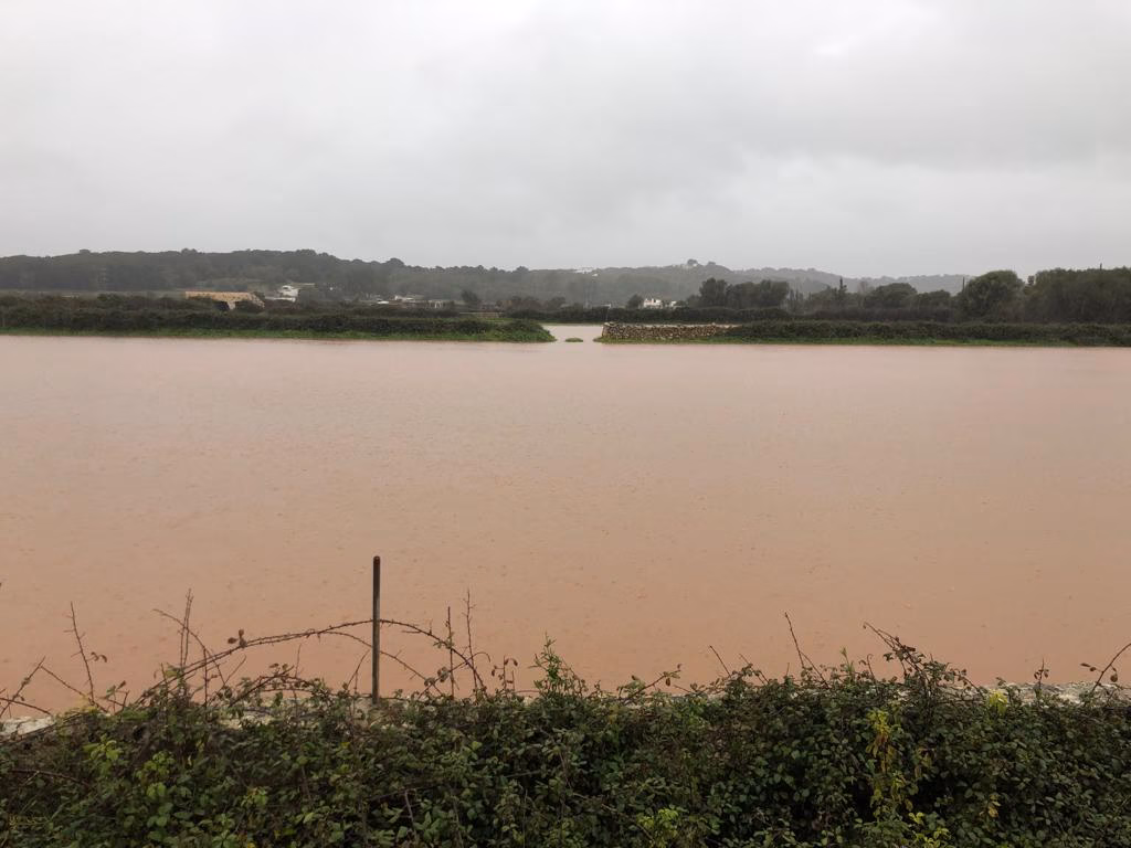 El Govern impulsa un proyecto millonario para mitigar las inundaciones