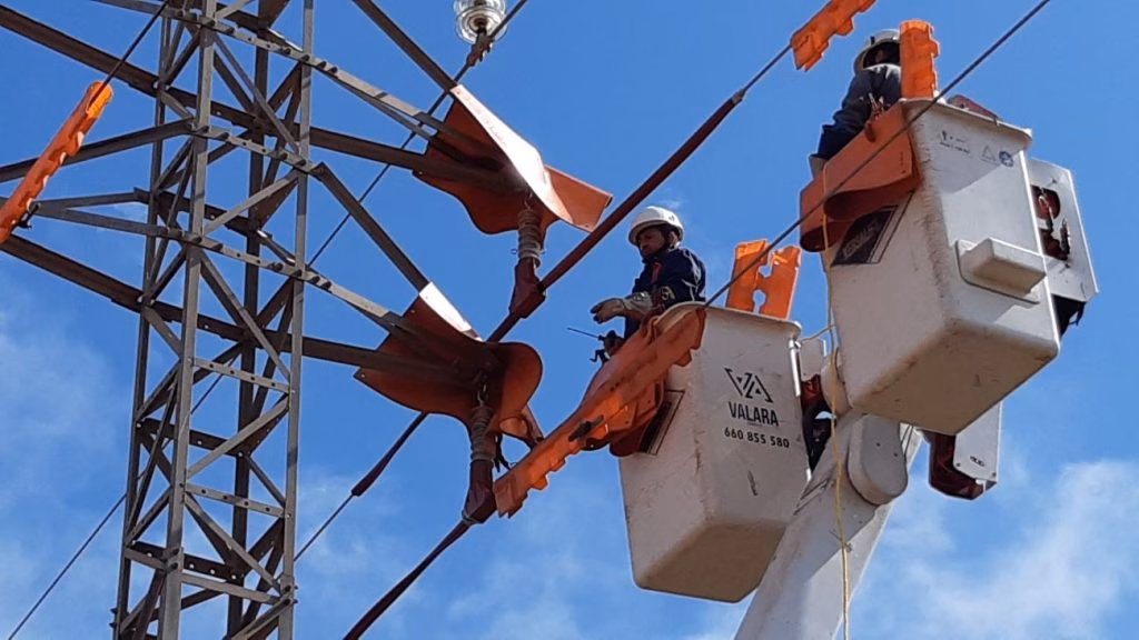 Menorca acumula el 85% de incidencias por electrocución de aves en líneas eléctricas