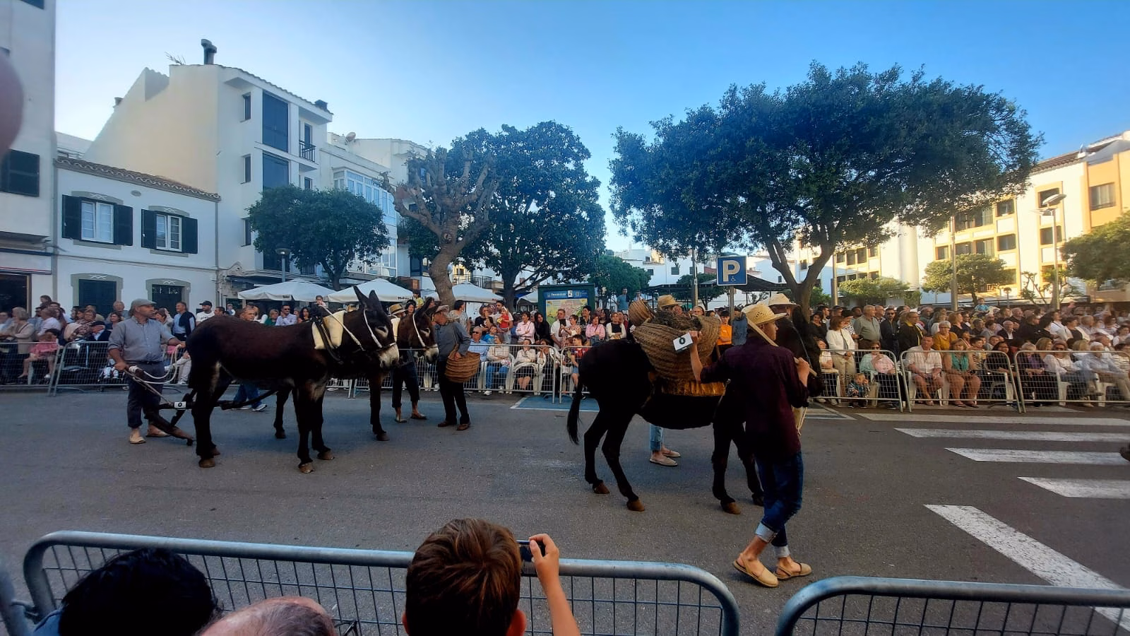 Ferreries estrena su nueva feria del campo con un desfile