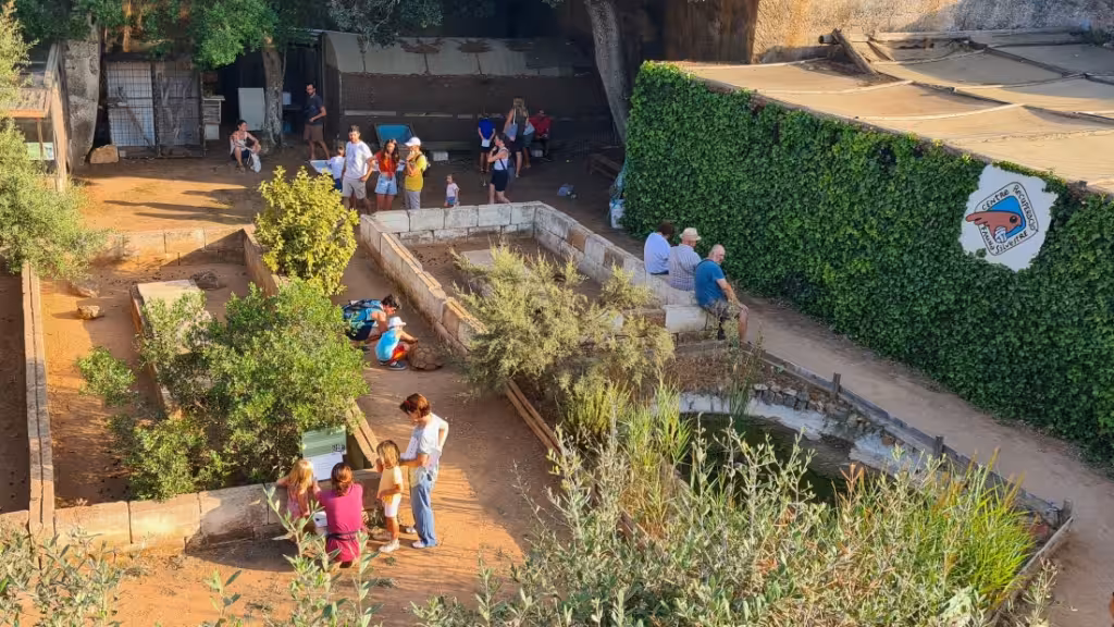 El Centro de Recuperació de Fauna Silvestre atendió a 1.291 animales en Menorca durante 2024