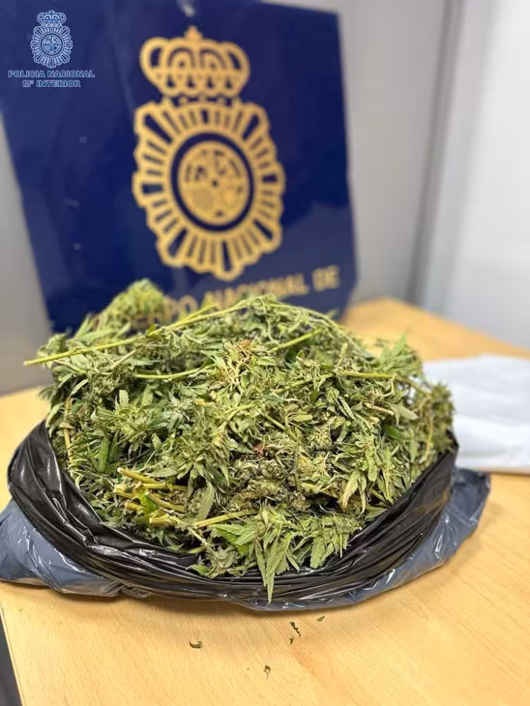 La Policía Nacional de Ciutadella detiene a septuagenario con casi 700g de marihuana en su coche