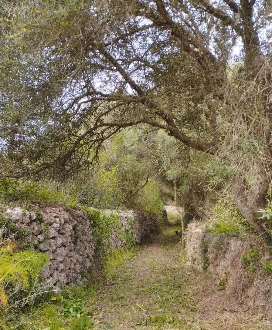 Avançam urge al equipo de gobierno a aprobar el Catálogo de Caminos Públicos de Alaior