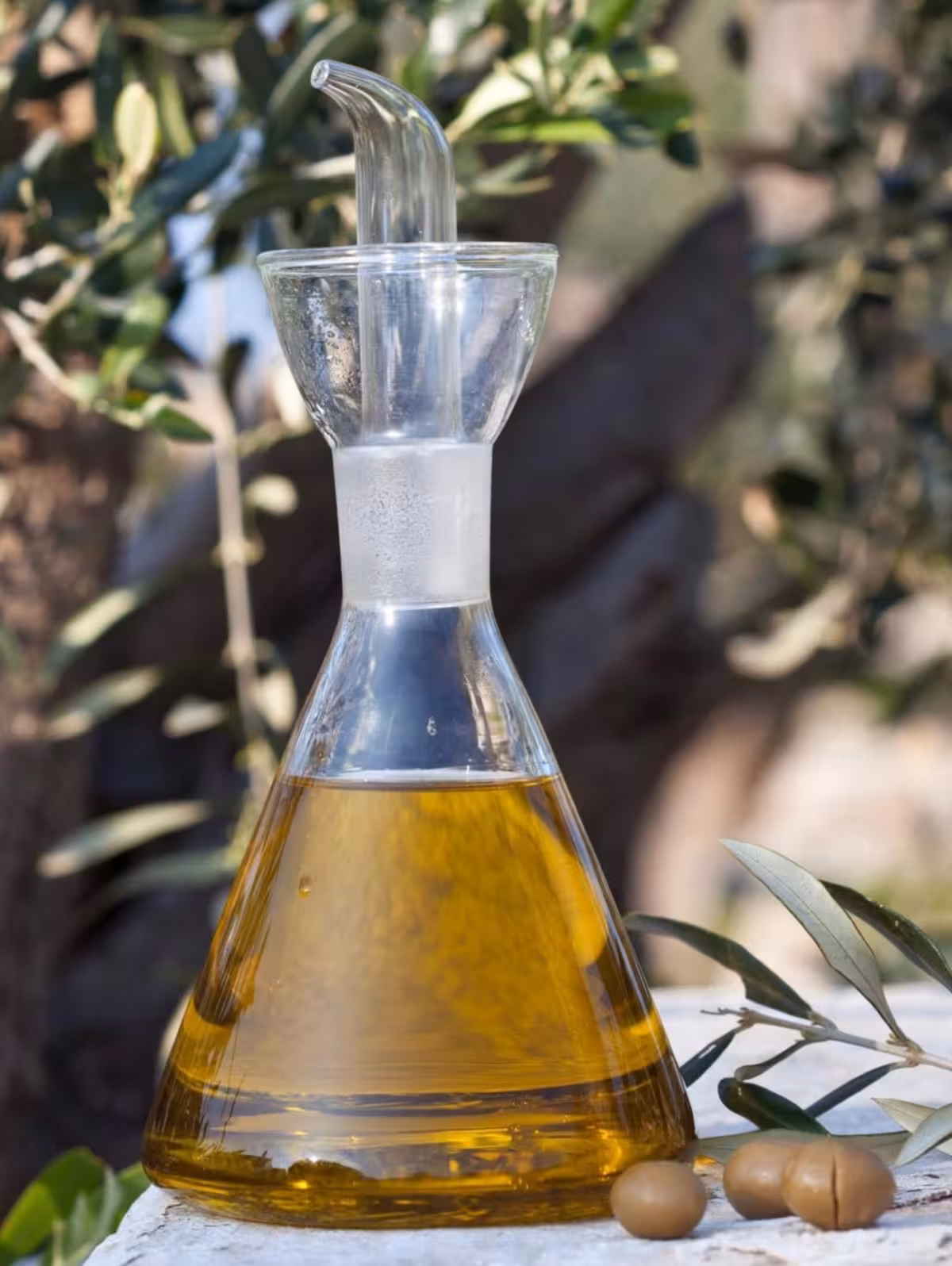 10.000 euros para impulsar el aceite de Menorca